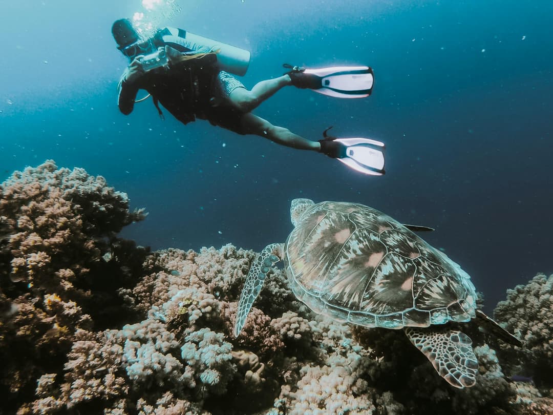 https://a.storyblok.com/f/302737/2800x2100/3411ed6226/philippines_elnido_diving.jpg