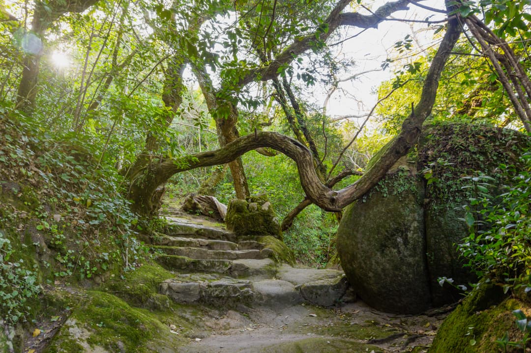 https://a.storyblok.com/f/302737/5456x3632/8346b044c8/sintra_2_shutterstock_1478818100.jpg