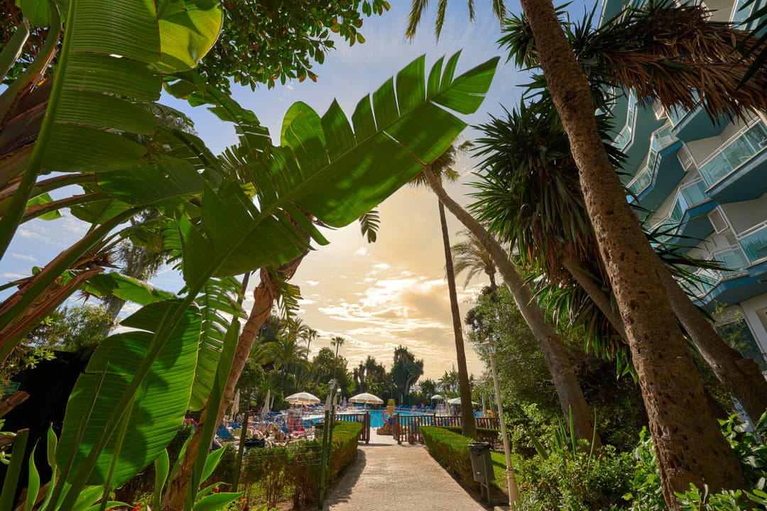 https://a.storyblok.com/f/302737/7352x4906/f2b8642074/entrada_piscina_manana.jpg