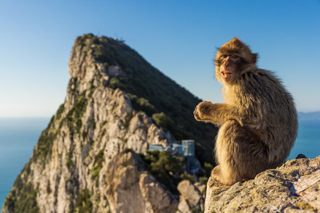 https://a.storyblok.com/f/302737/7931x5290/d0284597c4/gibraltar_2_shutterstock_2145245941.jpg