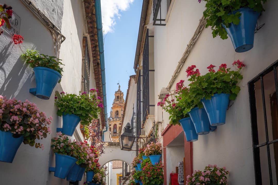 https://a.storyblok.com/f/302737/7952x5304/58882da6ca/cordoba_2_shutterstock_2308796209.jpg